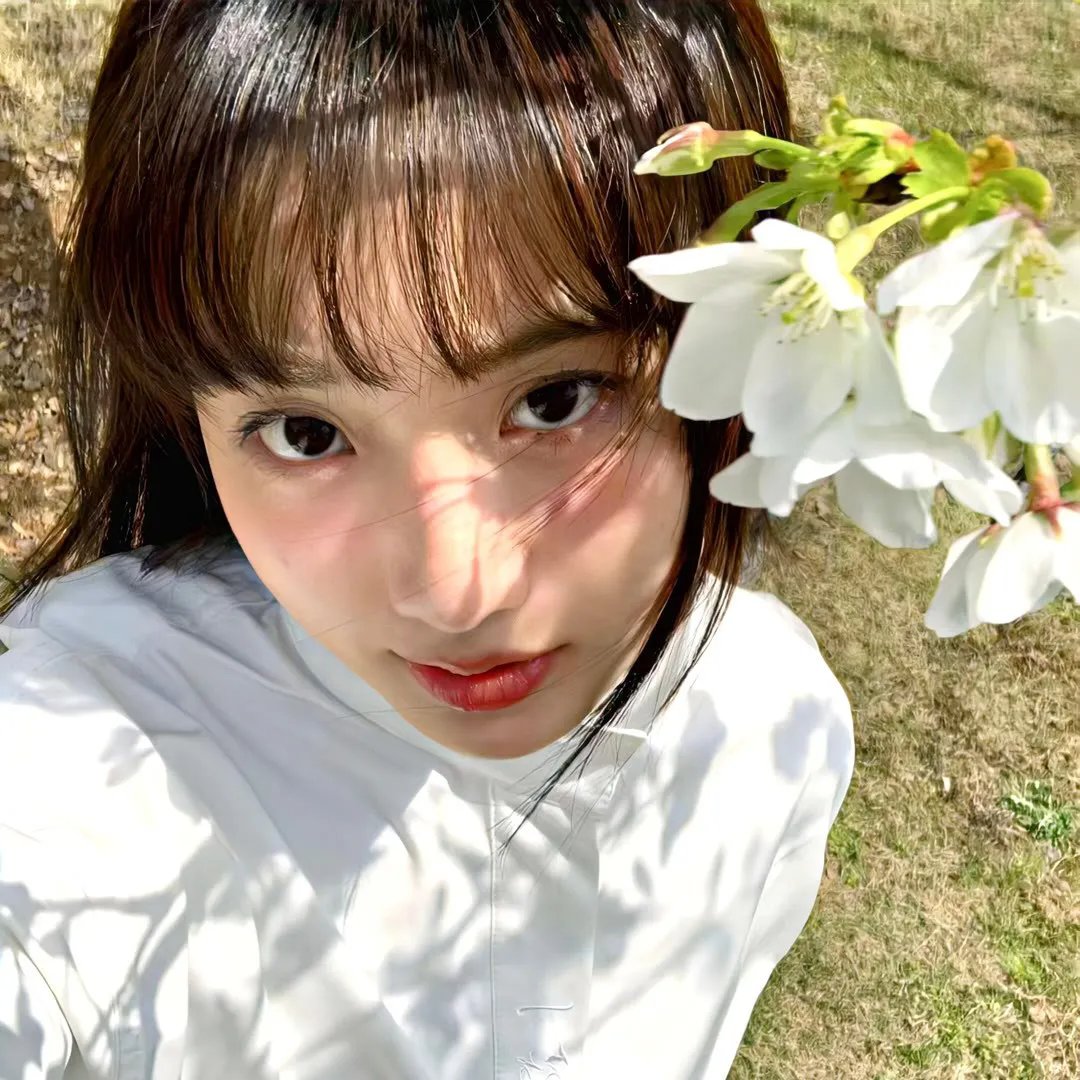 伟大的神秘马戏团